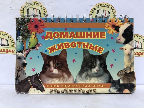 ДОМАШНИЕ ЖИВОТНЫЕ/ ЭНЦИКЛОПЕДИЯ В КАРТИНКАХ/ - купить с доставкой по ...