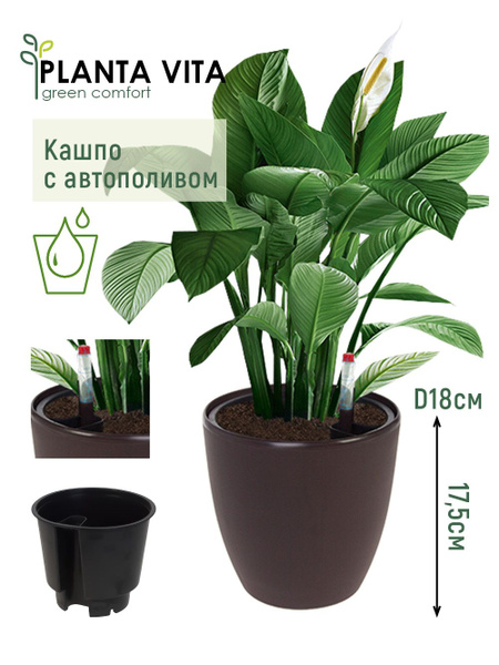 Кашпо planta Vita balcony Silk