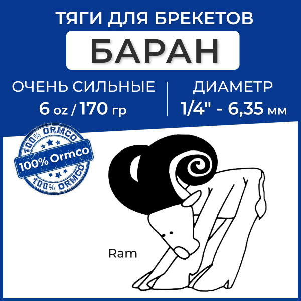 Ортодонтические резинки / Тяги для брекетов (эластики) Ormco - Баран ...