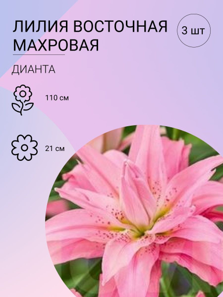 NskchnySad149_2020_UA - Flip eBook Pages 1-50 AnyFlip