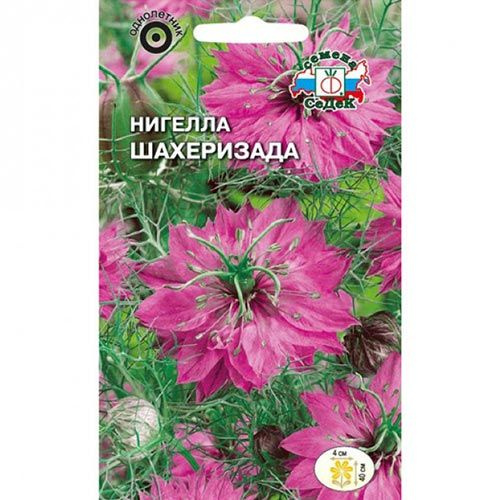 Семена СеДек Нигелла - купить по выгодным ценам в интернет-магазине ...