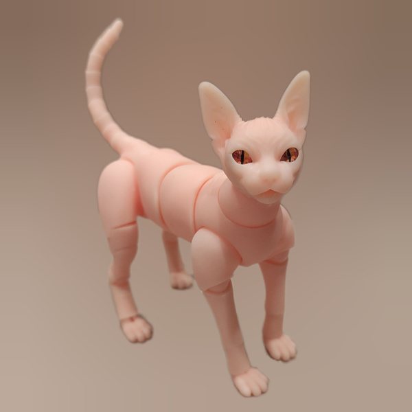 Сфинкс кошка купить
