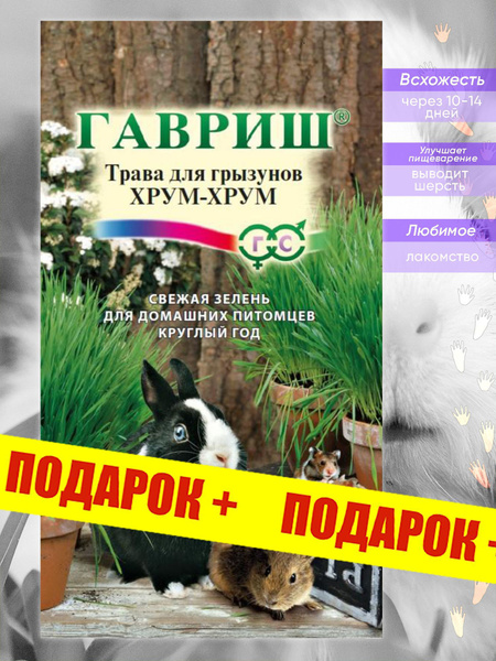 Различные травы, Разнообразные комнатные Гавриш GPTTR - купить по ...