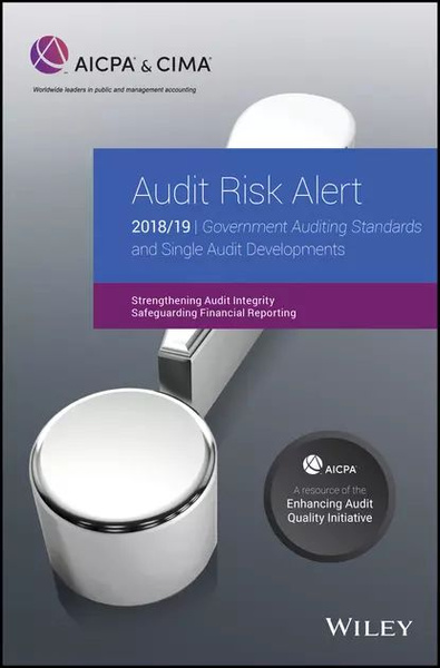 Audit Risk Alert. Government Auditing Standards And Single Audit ...