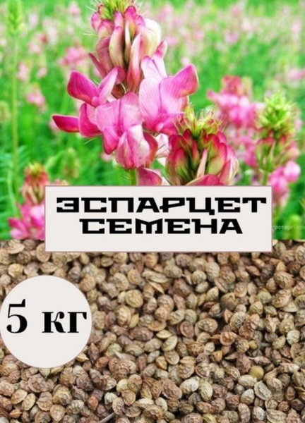 Семена эспарцет 5 кг "С Алтайских полей" - купить с доставкой по ...
