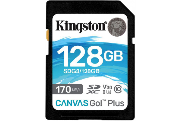 Карта памяти sdxc kingston canvas go plus 64 гб sdg3 64gb