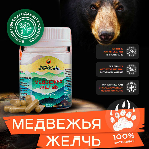 Концентрат сухой Медвежья желчь в капсулах экстракт - Алтайский ...