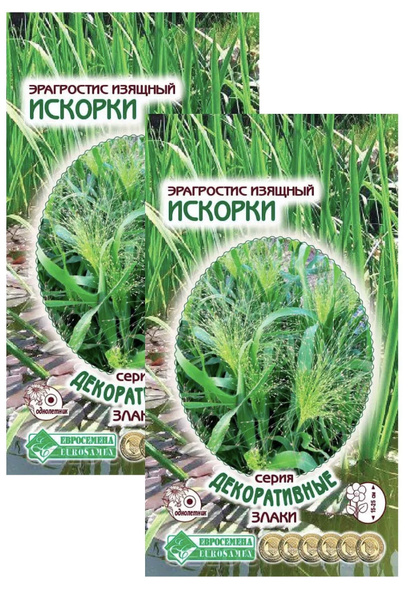 Ковыль Евросемена Декоративные злаки - купить по выгодным ценам в ...