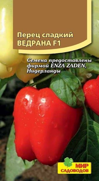 Ведрана F1 - семена перца сладкого, 500 и 1 000 семян, Enza Zaden/Энза Заден (Го