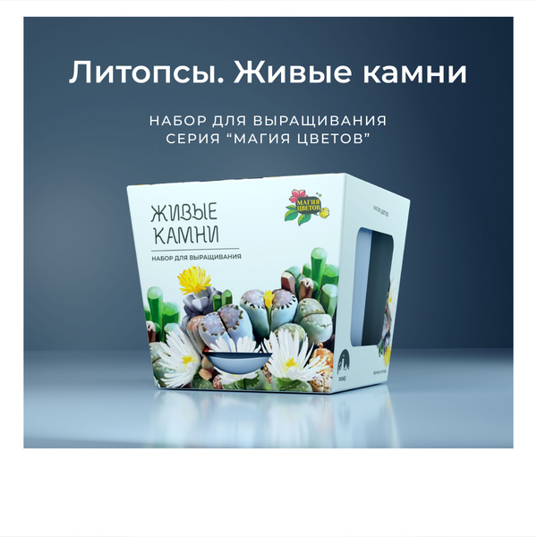 Литопсы микс живые камни Набор для выращивания растений купить на OZON ...
