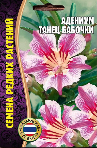 Редкие семена Адениумы_РР - купить по выгодным ценам в интернет ...