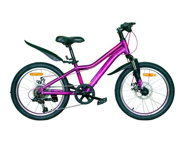 Велосипед 20" Nameless J2200DW, фиолетовый, 11" - купить по выгодной ...