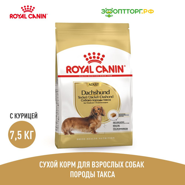 Royal canin store dachshund dry food