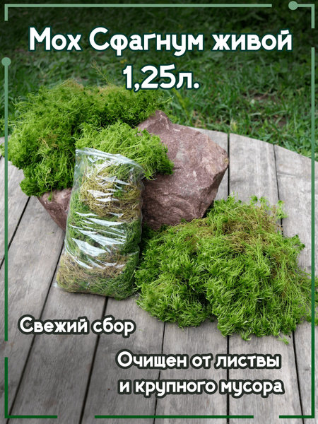 Мох сфагнум свежий отборный, 1,25 литра для растений, улиток, орхидей ...