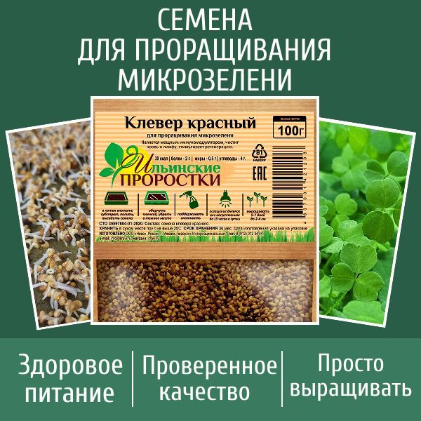 Клевер красный семена для проращивания микрозелени, 100 г - купить с ...