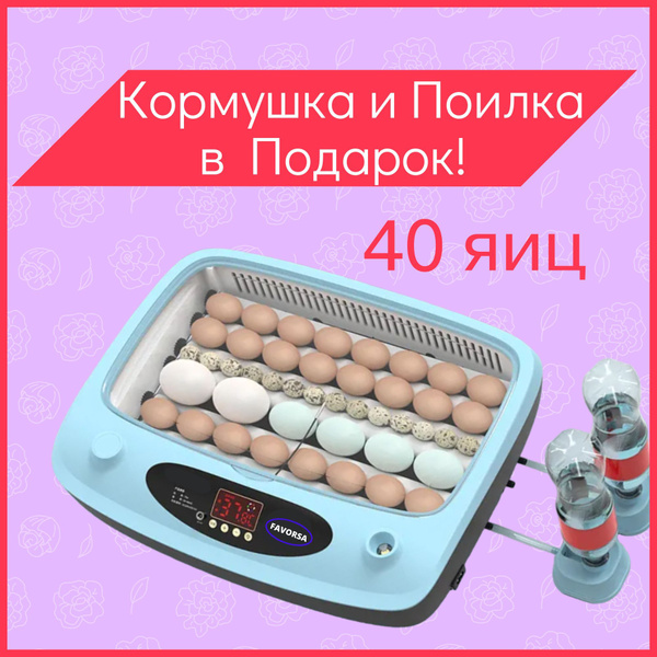 Инкубатор для яиц - купить с доставкой по выгодным ценам в интернет ...