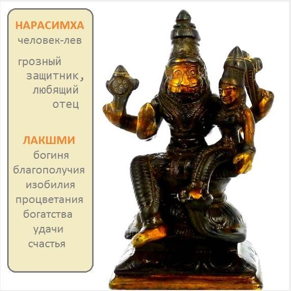 cocosmarket-arm-ib12-01