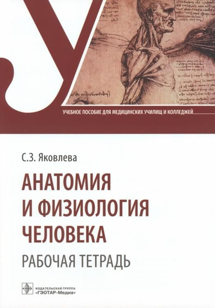Анатомия и физиология человека. Рабочая тетрадь | Яковлева Светлана ...