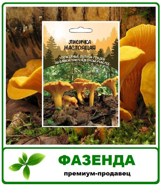 Грибы Лисичка настоящая, зерновой мицелий 30мл Уральский Дачник ...