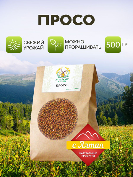 Просо красное, 500 грамм. Подходит для проращивания, микрозелень ...