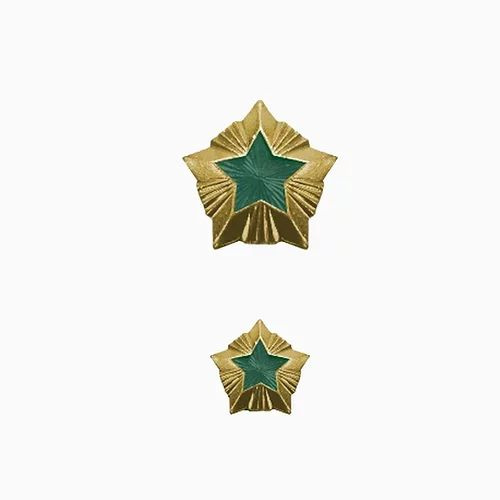 Звезды на погоны Охотнадзор - 2 штуки - купить с доставкой по выгодным ...