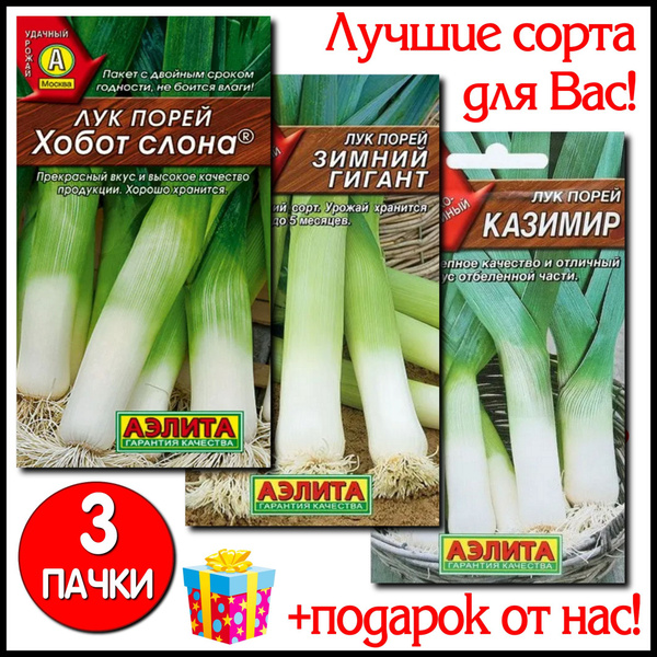 Лук Агрофирма Аэлита ЛУК - купить по выгодным ценам в интернет-магазине ...