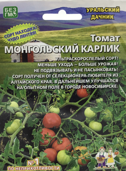 Уральский дачник Томат Монгольский карлик - купить по выгодным ценам в ...