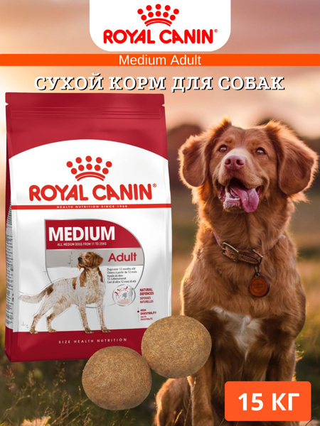 Сухой корм для собак Royal Canin Medium Adult 15кг - купить с доставкой ...
