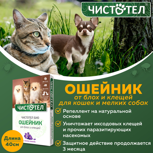 Чистотел Био ошейник с лавандой от блох и клещей для кошек и мелких ...