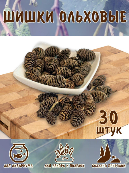 Шишки ольховые, для заваривания, для запаривания, для аквариума и ...