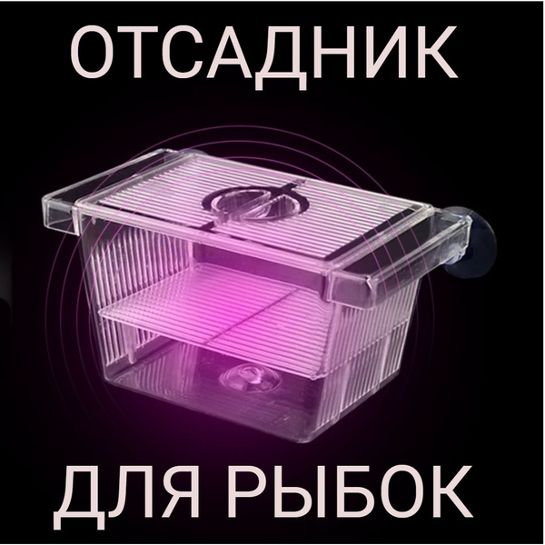 Отсадник для рыб, мальков в аквариум 12*7*7 см - купить с доставкой по ...