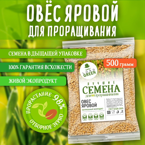 Овёс. Для проращивания. Микрозелень. Семена овса. 500 гр. - купить с ...