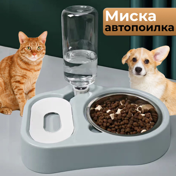 Миски для собак мелких пород и кошек - купить с доставкой по выгодным ...