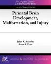 Perinatal Brain Development, Malformation, and Injury - Juliet K. Knowles, Anna A. Penn