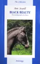 Black Beauty - Сьюэлл Анна