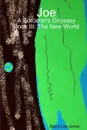 Joe. A Sorcerer's Odyssey Book III: The New World - Barry Lee Jones