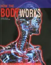 How the Body Works: A Comprehensive Illustrated Encyclopedia of Anatomy - Абрахамс Питер
