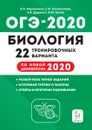 ЕГЭ-2020 Математика.40 тренировочных вариантов. Профильный уровень - Дерезин Святослав Викторович, Авилов Николай Иванович
