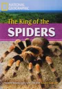 NGR: 2600 (C1): Queen Of The Tarantula (BrE) - Rob Waring, National Geographic