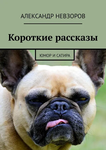 Обложка книги Короткие рассказы, Александр Невзоров