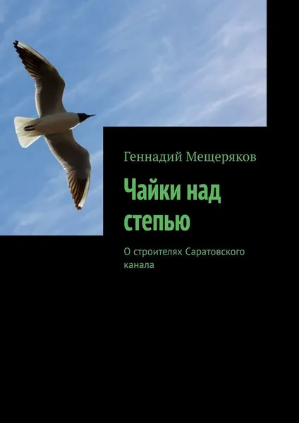 Обложка книги Чайки над степью, Геннадий Мещеряков