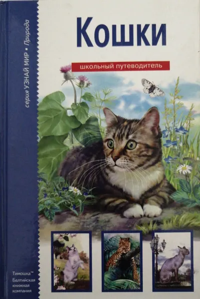 Обложка книги Кошки, С. Афонькин