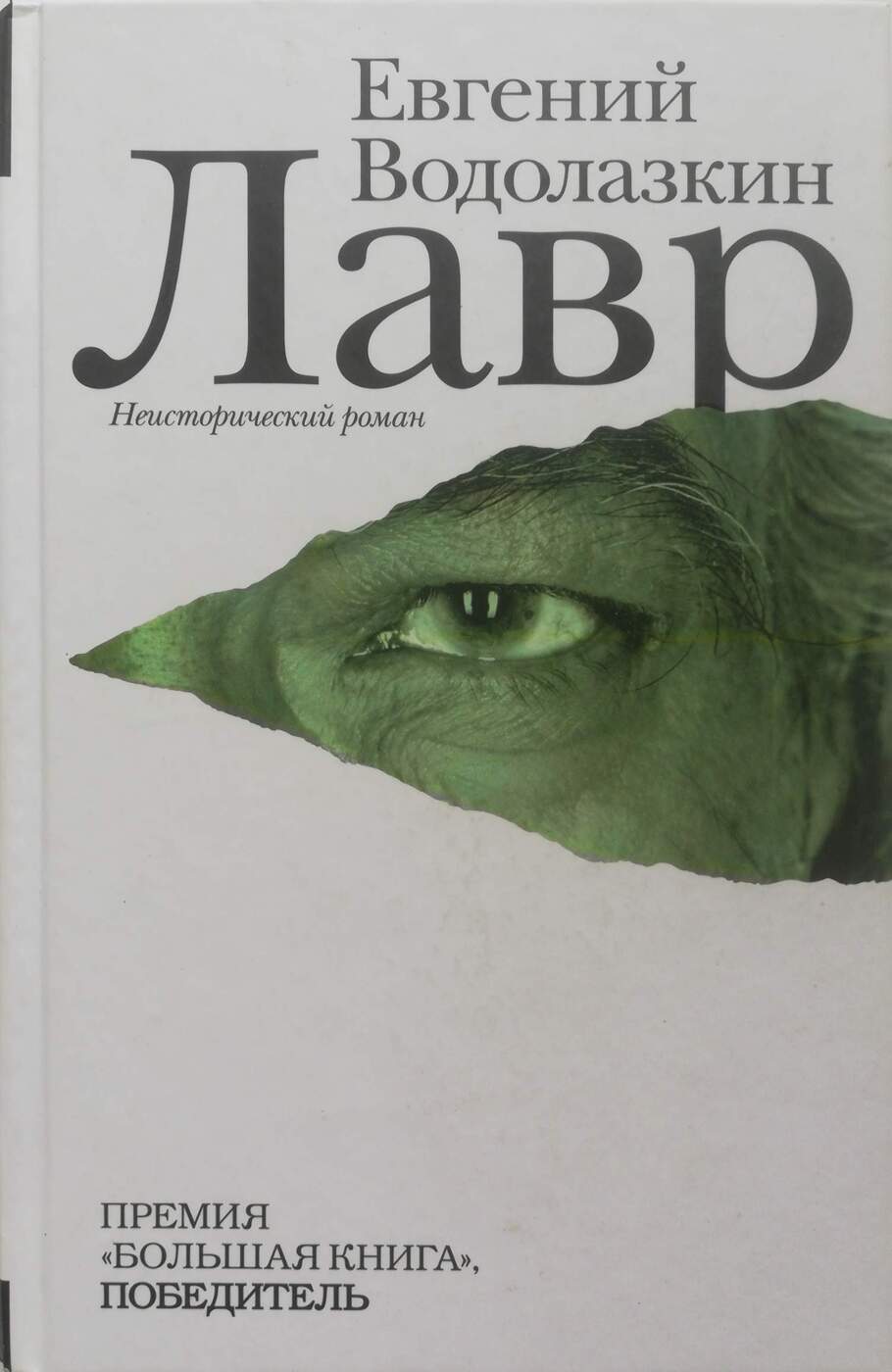 Водолазкин книги. Лавр Роман Водолазкин. Лавр книга Водолазкин. Лавр ( Евгений Водолазкин ). Лавр Евгений Водолазкин книга.