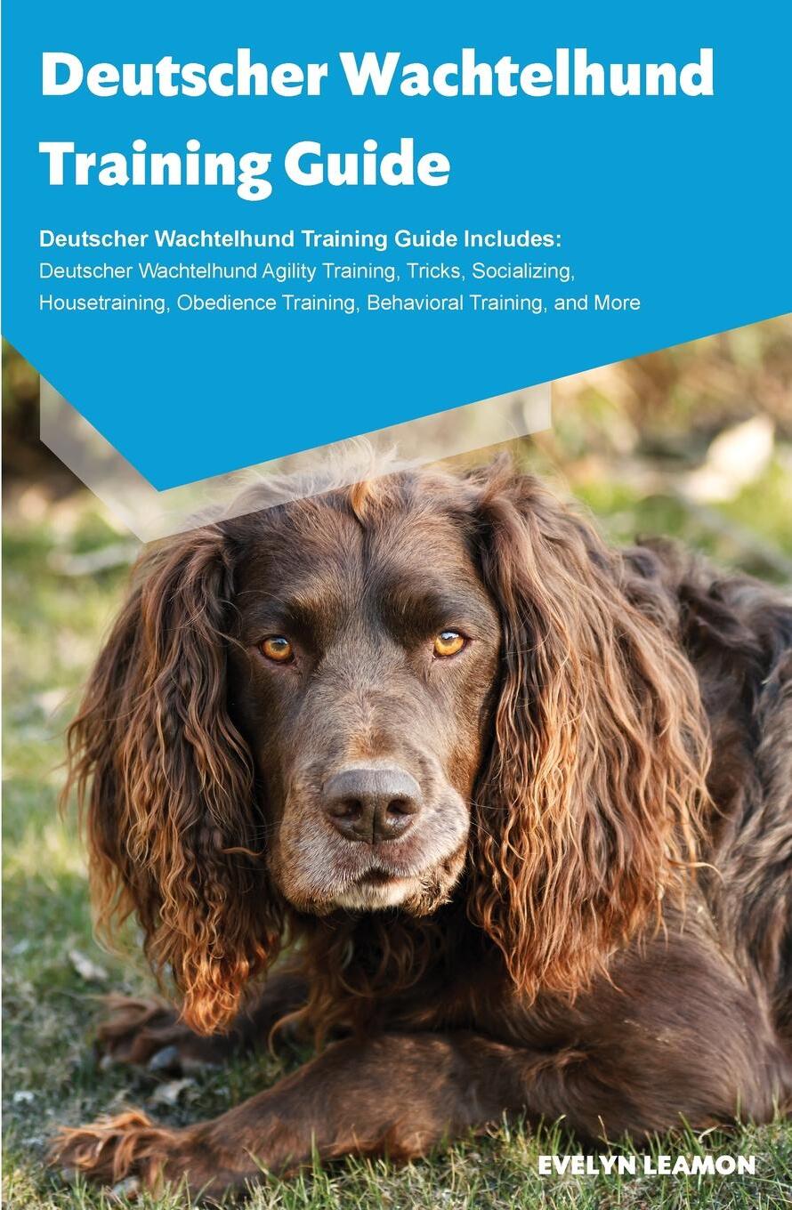 фото Deutscher Wachtelhund Training Guide Deutscher Wachtelhund Training Guide Includes. Deutscher Wachtelhund Agility Training, Tricks, Socializing, Housetraining, Obedience Training, Behavioral Training, and More