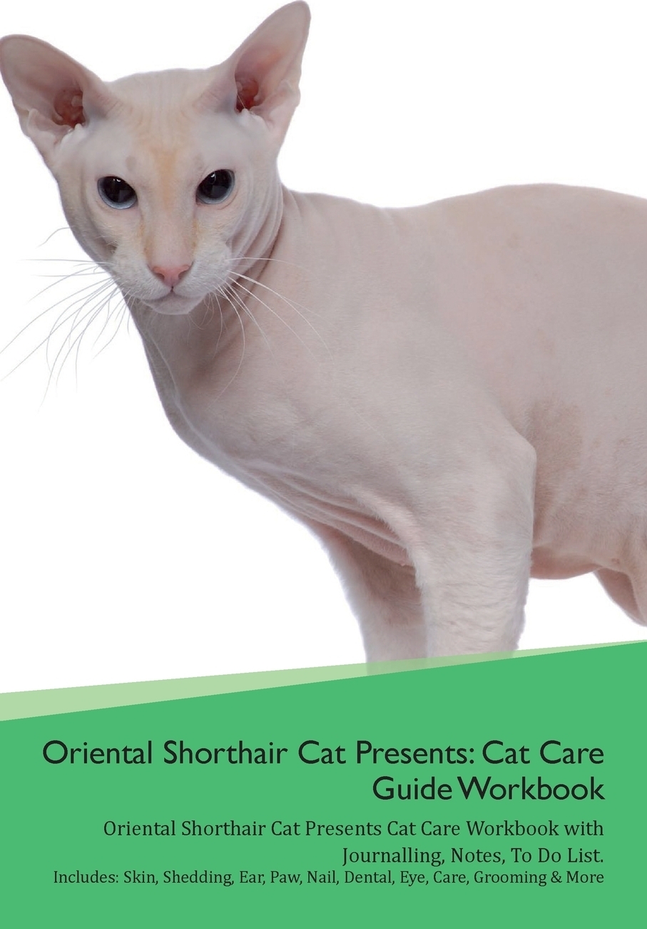Код cats productivity tips. Cats production.