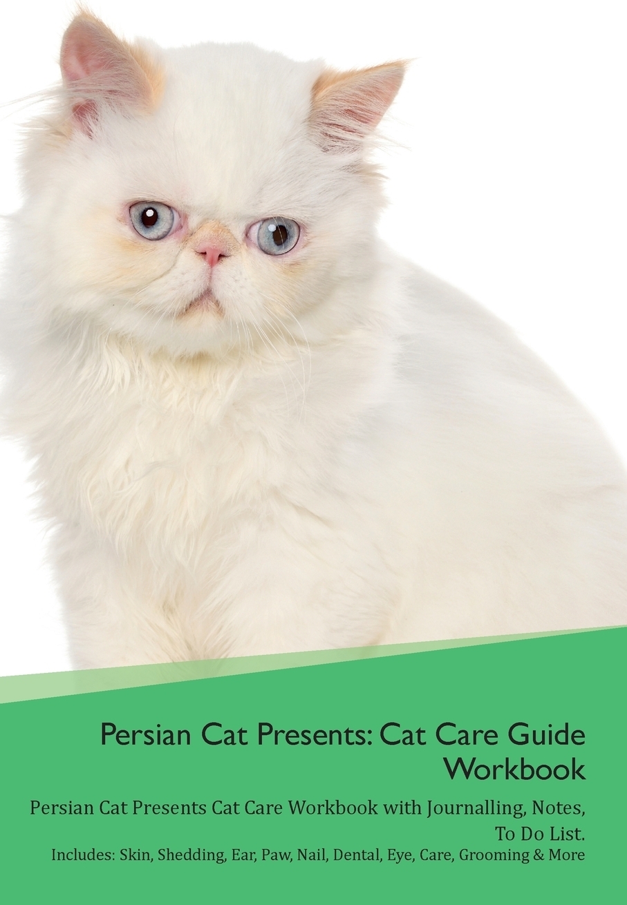 Код cats productivity tips