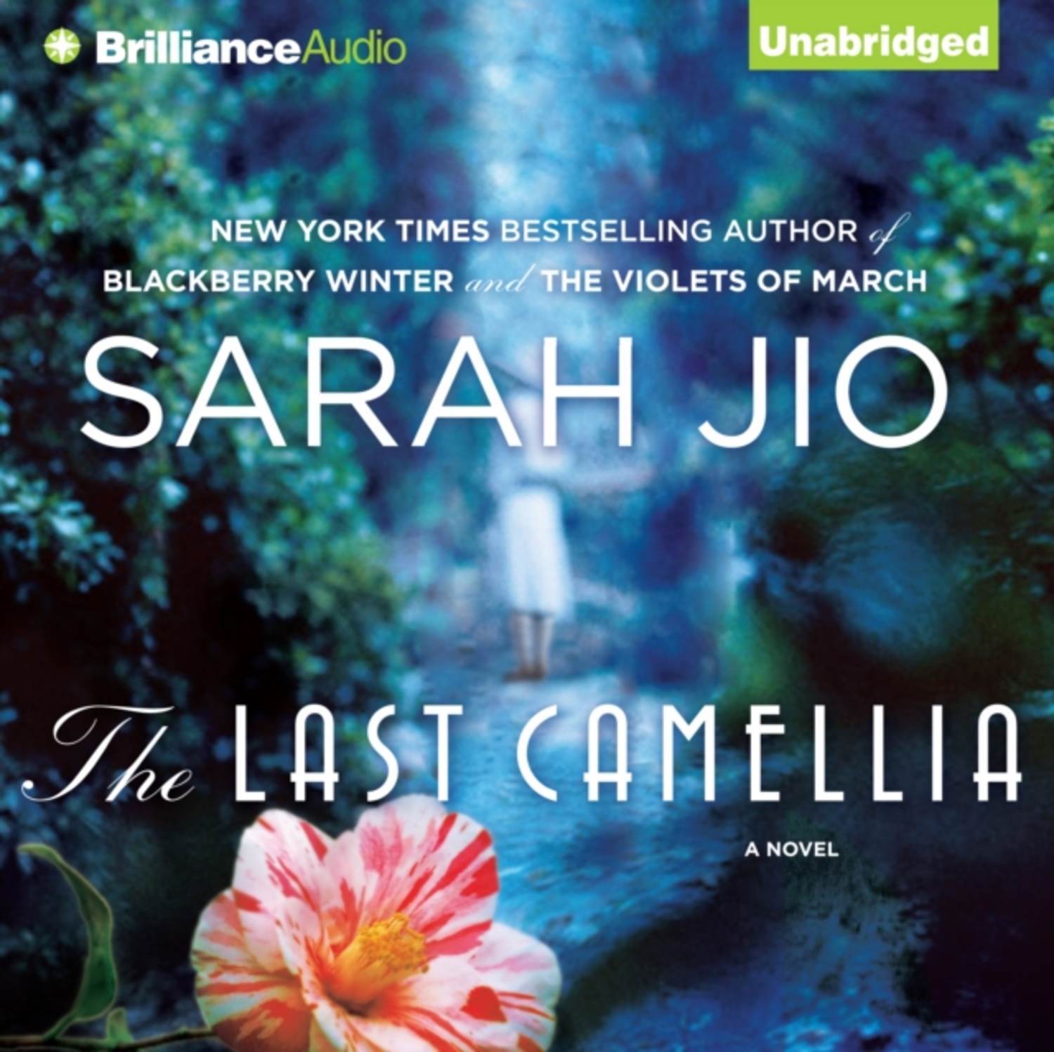 My last book. The last Camellia by Sarah Jio обложка. Джио с. "последняя Камелия". Sarah Jio "BLACKBERRY Winter"