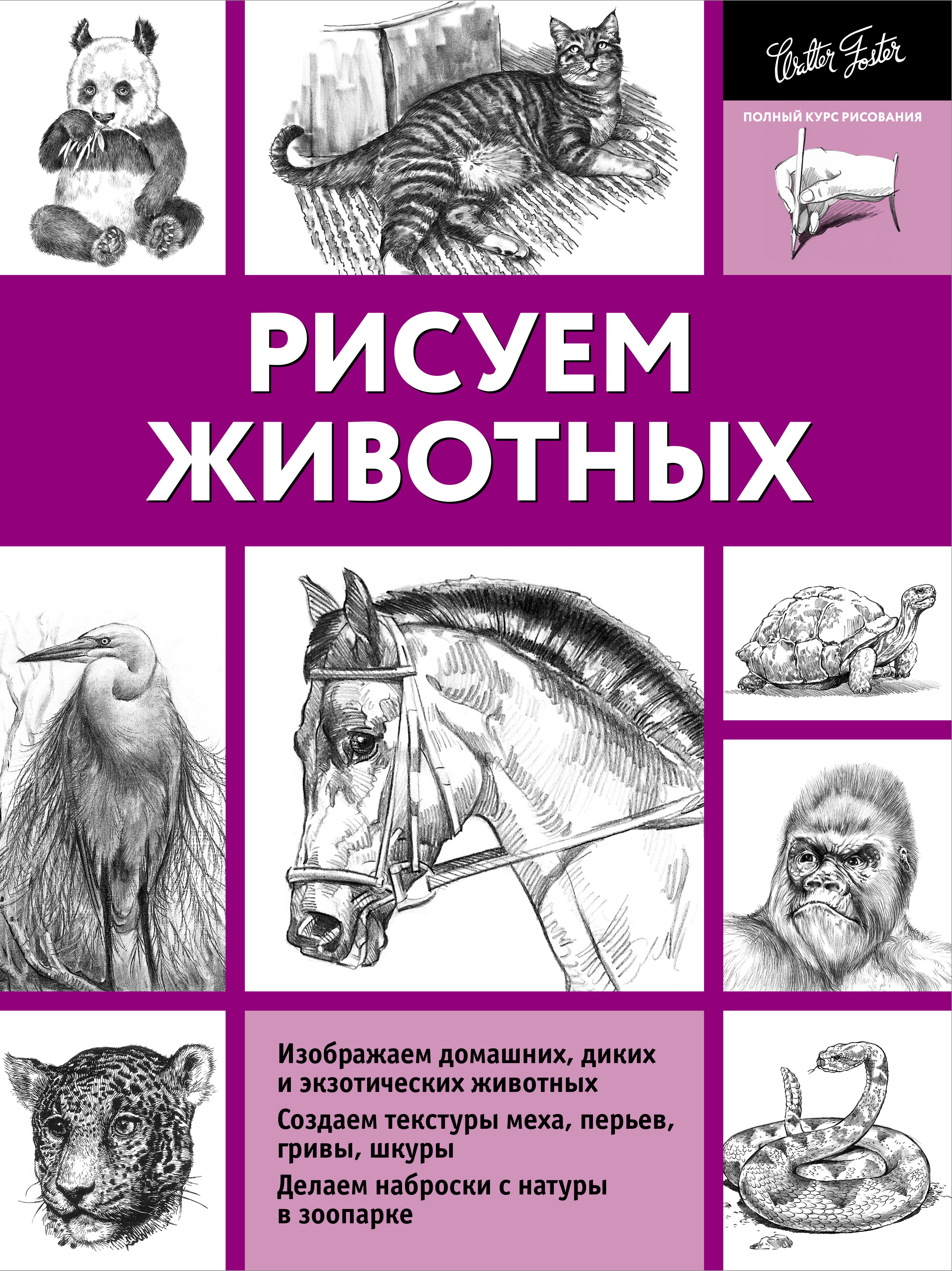 Книги по рисунку животных