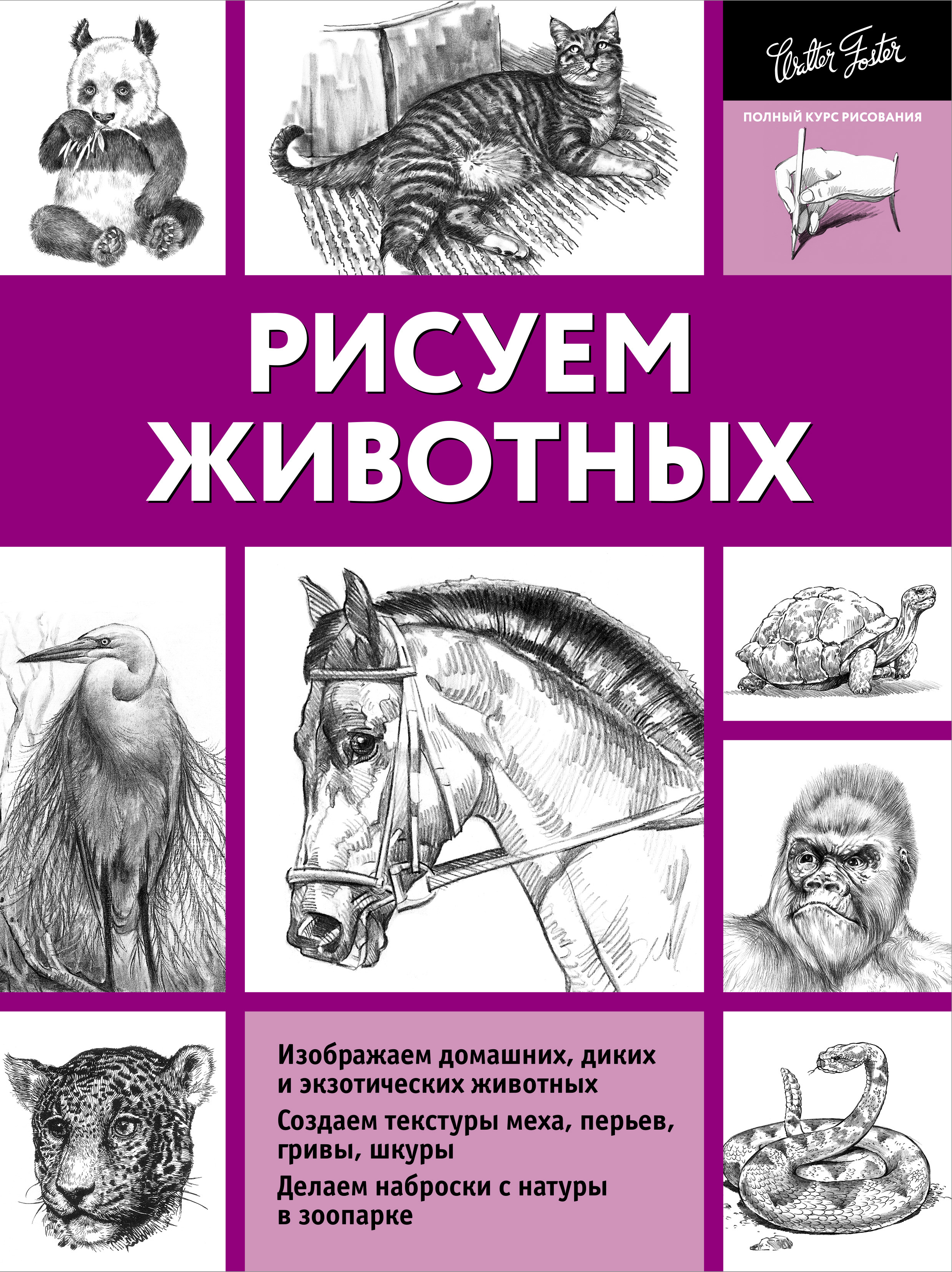 Как рисовать животных книга