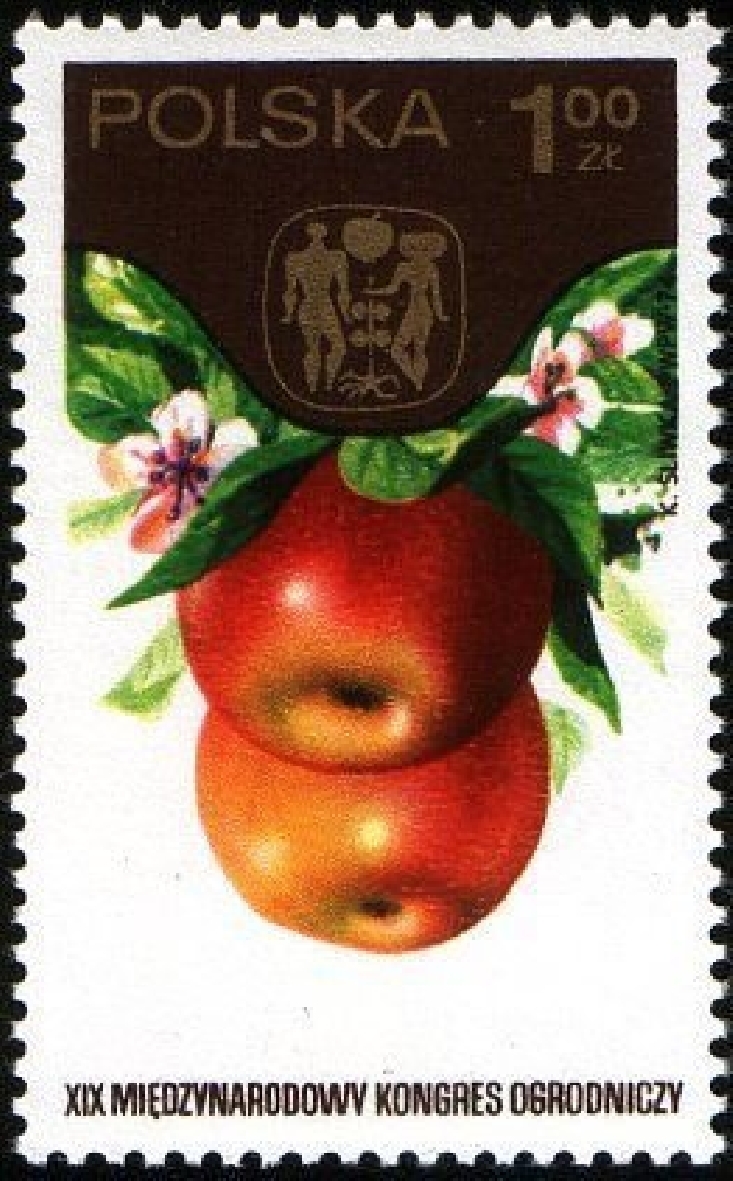 Apple poland